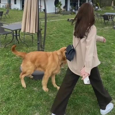 欢乐喜剧人第四季